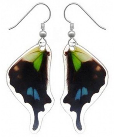 Real Butterfly Wing Earrings Graphium
