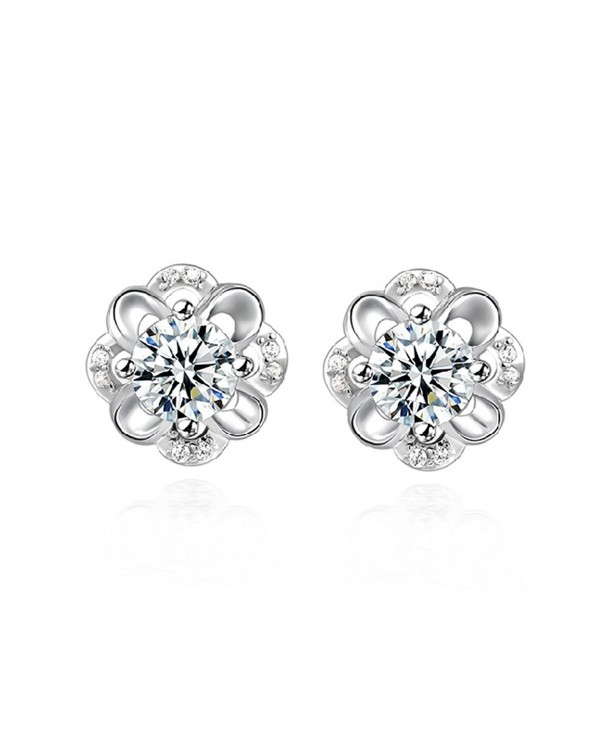 TOPSTARONLINE Preserved Flower Hollow Earrings