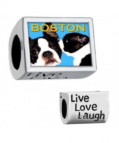 CharmSStory Boston Terrier Silver Bracelets