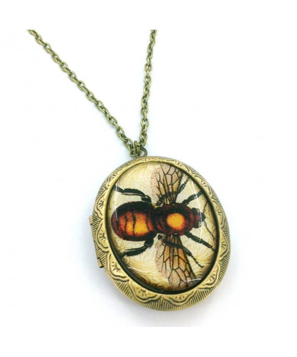 Vintage Style Entomology Locket Necklace