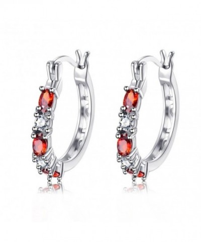 Garnet Crystal Earrings Earring Friend