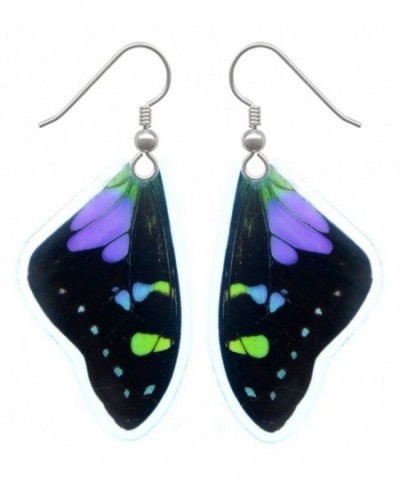Real Butterfly Wing Earrings Graphium