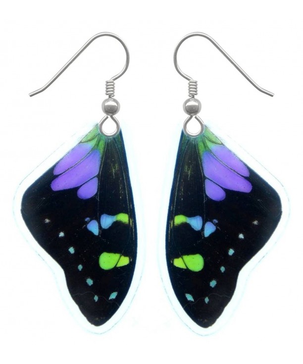 Real Butterfly Wing Earrings Graphium