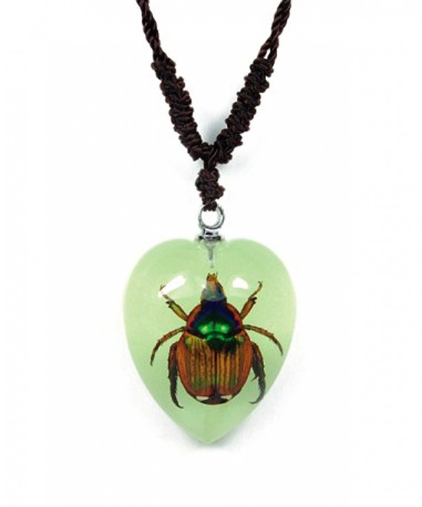 Shaped Necklace Shining Chafer Beetle